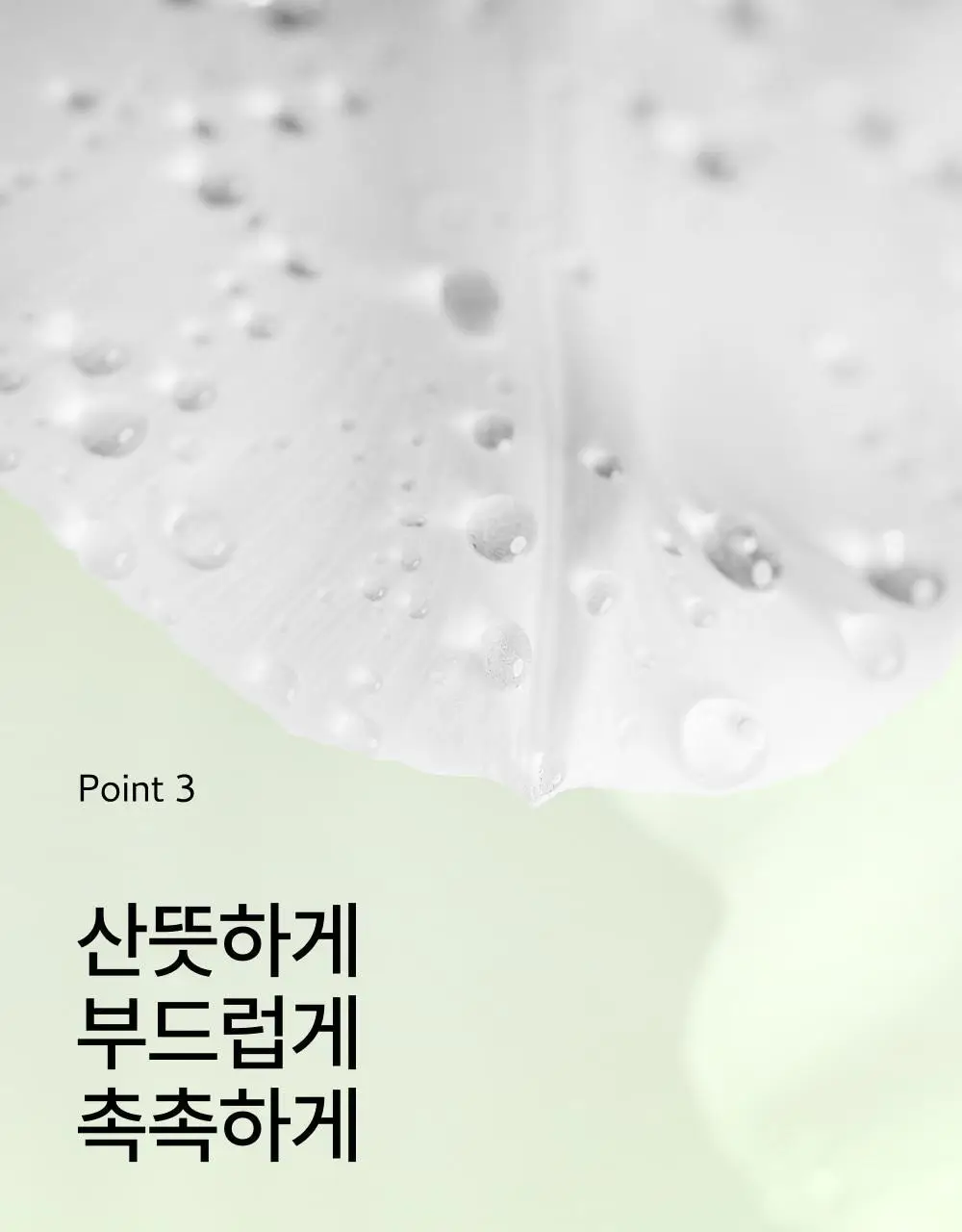 [화잘먹미스트] 오드로이 모공수축 시카 83.7 콜라겐 미스트 앰플 로프디 100ml 상세페이지 13